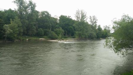 Reka Mura in obrečni gozd_Avtor_Klemen Kamenik